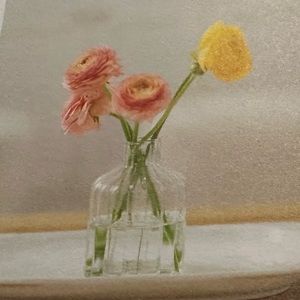 Jilly Box - Be Home Shaw Glass Bud Vase